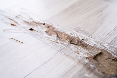 Fix Scratches and Damage